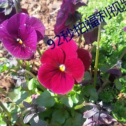 92秒拍福利视频(pín)大(dà)尺(chǐ)度