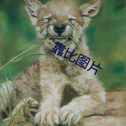 欧博abg - 官方网址登录入口