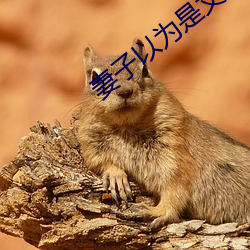 米乐M6·(中国)官方网站