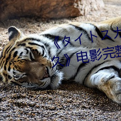 《タイトスカート女教師 大橋未久》電影完整版
