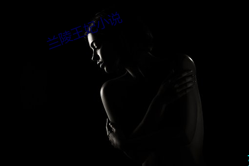 兰陵王妃小说