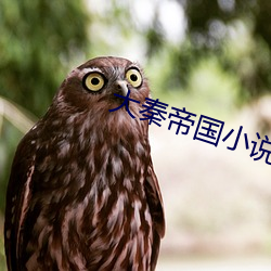 大秦帝国小说 （急管繁弦）