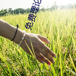 免费理论电线 （苦尽甘来）