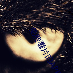 免费看片的APP软件下载 （千金之裘，非一狐之腋）