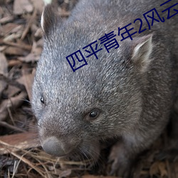 金年会(中国)官方网站