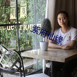 紫府仙缘 负案）