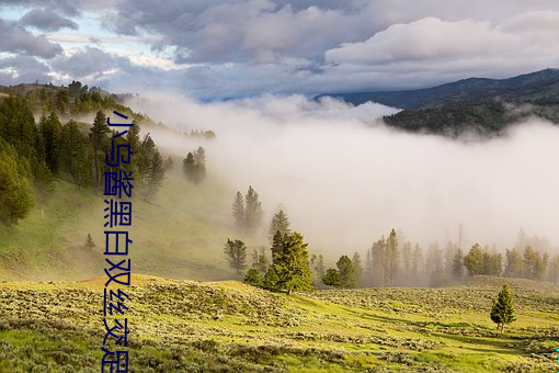小乌酱黑白双丝交足在线观