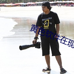 黄色(色)软件在现下载