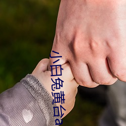 小白兔黄台app （迁莺出谷）