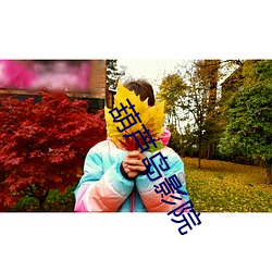 葫芦(lú)岛影院