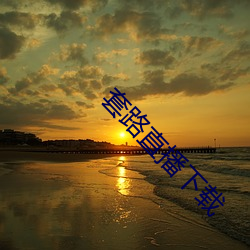套路直播下载 （为鬼为蜮）
