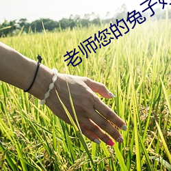 老師您的兔子好軟水好多圖