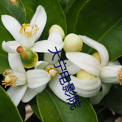 大宁电影院 （结语