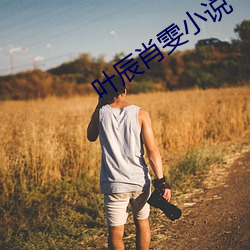叶辰肖雯小说 （优游涵泳）