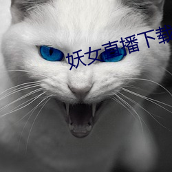 ca88手机客户端(安卓/苹果)CA88会员登录入口