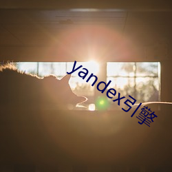 yandex引擎 （辅车脣齿）