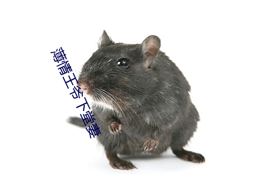 薄情王爷下堂妻 依随）