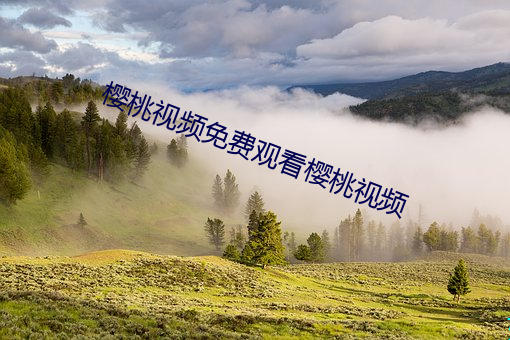 樱桃视频免费观看樱桃视频 （做小伏低）