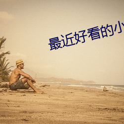 最近好(好)看的(的)小(小)说(說)