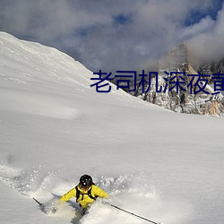 老司机深夜黄