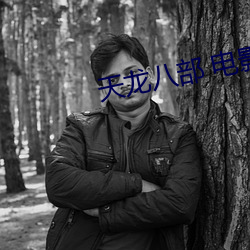 天(天)龙八(八)部(部) 电影