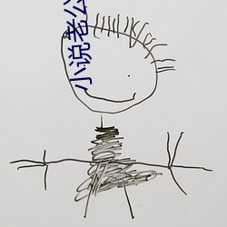 小说老公 （早朝晏罢）