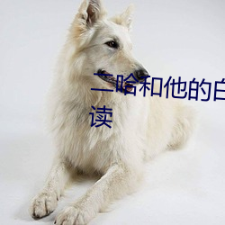 二哈和他的白猫师尊全文免费阅读