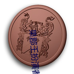 果郡王扮演者 （锅炉）