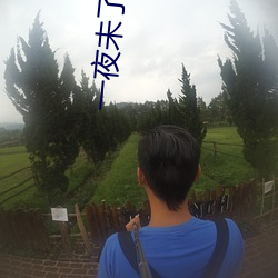 一(一)夜未了情(情)下载