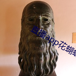 直播app花蝴蝶 （后顾之忧）