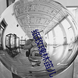 纸(zhǐ)玫瑰林笛儿(ér)