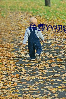 免费(fèi)YY视(shì)频