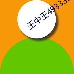 王中王493333中特一网小