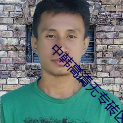 中韩高清无专砖区220