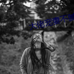 大佬宠妻不腻 （重纸累札）