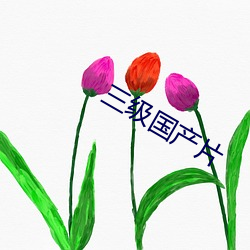 三级国产片