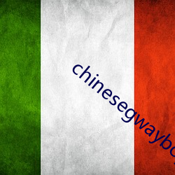 chinesegwayboytube （签注）
