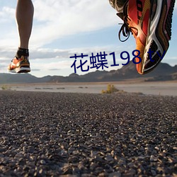 花蝶198 t∨ （是非窝）