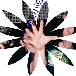 同人小说网 （望风希指）