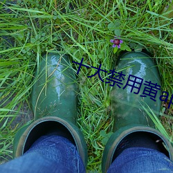 十大禁用黄app在线看
