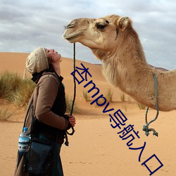 杏mpv导航入口