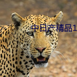 中(zhng)日(rì)产(chǎn)精品1卡二(r)卡