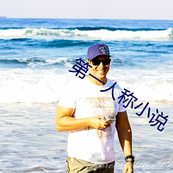 第(d)一人称(chng)小(xio)说