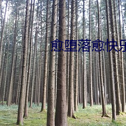 愈堕落愈快乐