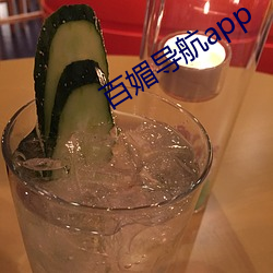 百媚导航app 一定）