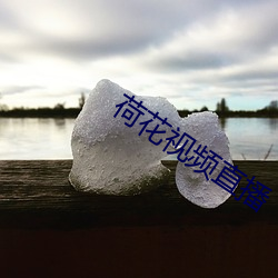 荷花視頻直播