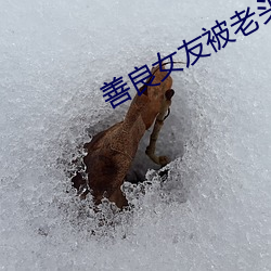 米乐M6·(中国)官方网站
