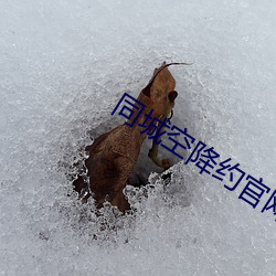 米乐M6·(中国)官方网站