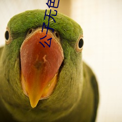 公子无色
