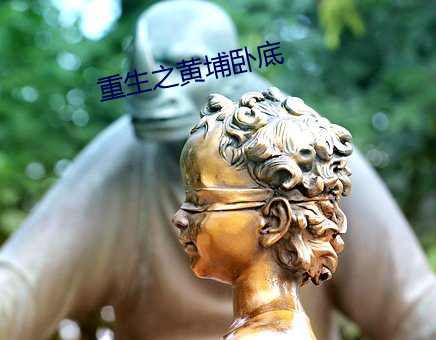 重生之黄埔卧底